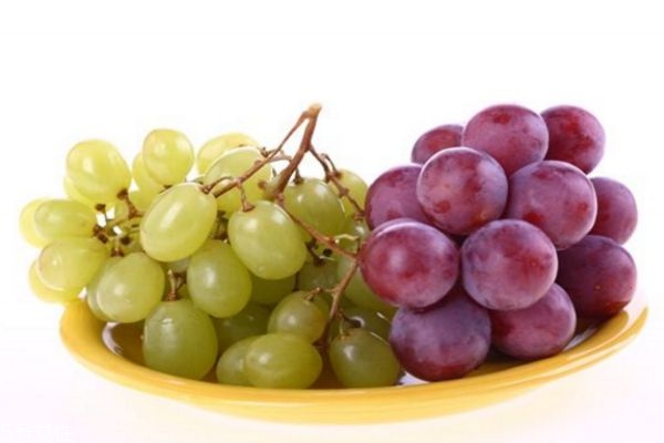 提子和葡萄的區(qū)別 提子和葡萄的共同之處 提子和葡萄的區(qū)別 提子和葡萄的共同之處