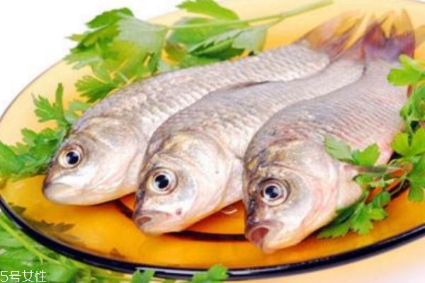 吃魚會長胖嗎 減肥人晚上能吃魚嗎 吃魚會長胖嗎 減肥人晚上能吃魚嗎