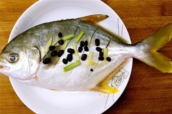 白鯧魚(yú)多少錢(qián)一斤 白鯧魚(yú)市場(chǎng)行情 白鯧魚(yú)多少錢(qián)一斤 白鯧魚(yú)市場(chǎng)行情