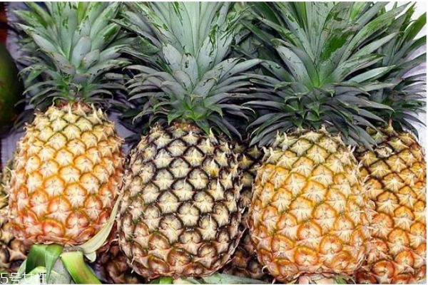 菠蘿真的可以減肥嗎 吃菠蘿注意事項(xiàng) 菠蘿真的可以減肥嗎 吃菠蘿注意事項(xiàng)