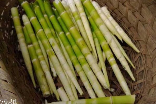 嫩筍子怎么做好吃 嫩筍的做法步驟 嫩筍子怎么做好吃 嫩筍的做法步驟