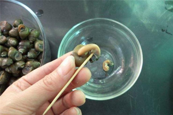 石螺怎么洗 干凈又快捷 石螺怎么洗 干凈又快捷