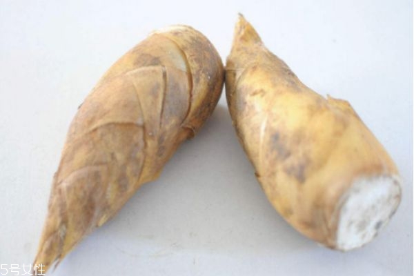 嫩筍子怎么做好吃 嫩筍的做法步驟 嫩筍子怎么做好吃 嫩筍的做法步驟