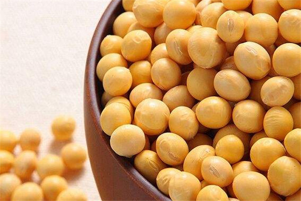 大豆可以做肥料嗎 大豆用作肥料好嗎 大豆可以做肥料嗎 大豆用作肥料好嗎