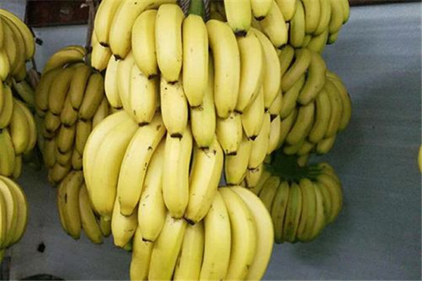 玉米和香蕉可以一起吃嗎 玉米和香蕉一起吃好嗎 玉米和香蕉可以一起吃嗎 玉米和香蕉一起吃好嗎