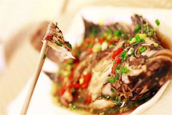 清蒸羅非魚(yú)的做法 肉質(zhì)很鮮美