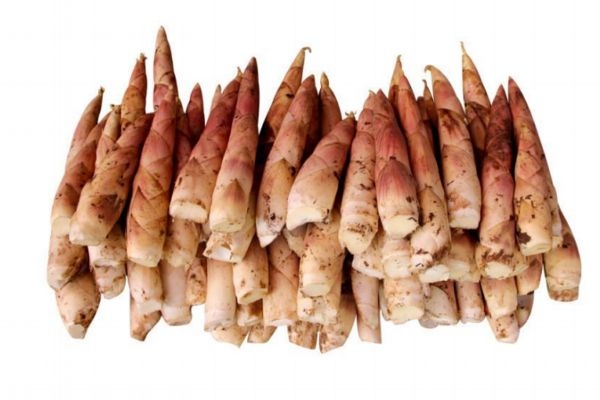 春筍怎么保鮮 春筍的保存方法 春筍怎么保鮮 春筍的保存方法