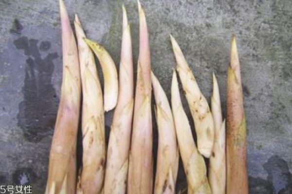 嫩筍子怎么做好吃 嫩筍的做法步驟 嫩筍子怎么做好吃 嫩筍的做法步驟