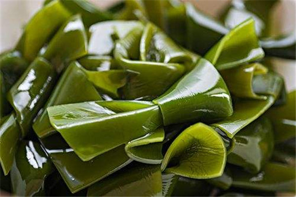 海帶能放冰箱冷凍嗎 海帶怎么保存好 海帶能放冰箱冷凍嗎 海帶怎么保存好