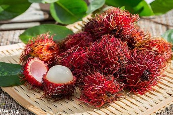 紅毛丹可以空腹吃嗎 不宜多吃 紅毛丹可以空腹吃嗎 不宜多吃