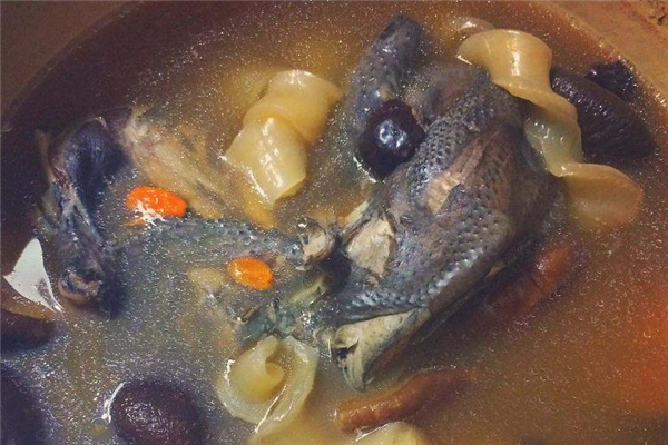 孕婦可以喝烏雞花膠湯嗎 對身體很好 孕婦可以喝烏雞花膠湯嗎 對身體很好