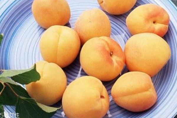 杏子吃多了會(huì)上火嗎 不宜多吃