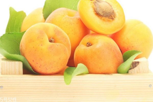 杏干泡水喝有什么功效 杏干可以降血壓 杏干泡水喝有什么功效 杏干可以降血壓