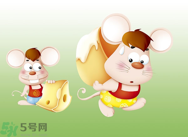 吃奶酪會過敏嗎？芝士是發(fā)物嗎？