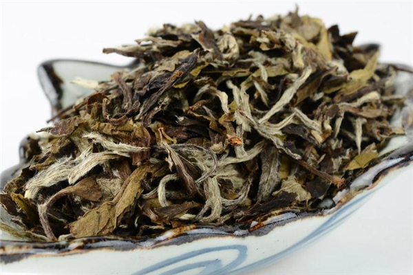 老白茶的功效與作用 營養(yǎng)價值豐富 老白茶的功效與作用 營養(yǎng)價值豐富