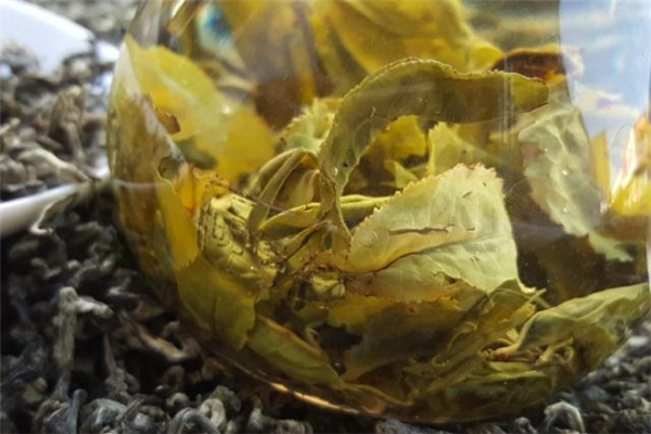 老白茶怎么泡 老白茶的泡法 老白茶怎么泡 老白茶的泡法