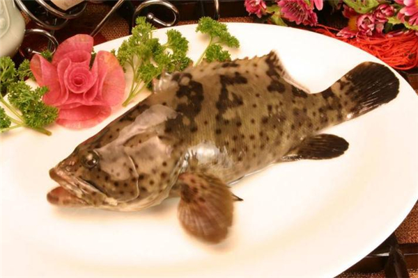 吃石斑魚可以喝酒嗎 當(dāng)心會(huì)中毒