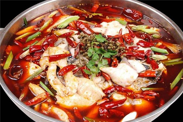 石斑魚火鍋的做法 配料很關(guān)鍵 石斑魚火鍋的做法 配料很關(guān)鍵