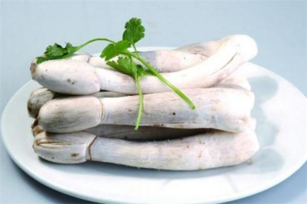 尿酸高能吃雞腿菇嗎 適量食用即可 尿酸高能吃雞腿菇嗎 適量食用即可