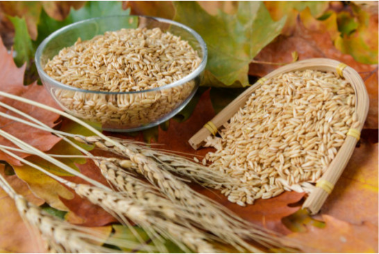 身體差怎么補？雜糧、豆類和湯臣倍健蛋白粉