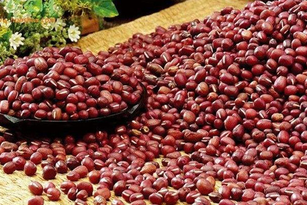 赤小豆怎么煮容易爛 赤小豆的煮法 赤小豆怎么煮容易爛 赤小豆的煮法