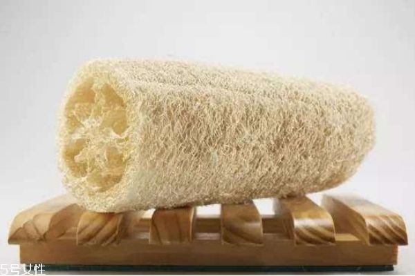 干絲瓜的功效與作用 干絲瓜煮水的功效 干絲瓜的功效與作用 干絲瓜煮水的功效