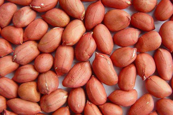 花生可以和蝦一起吃嗎 花生和蝦一起吃的影響 花生可以和蝦一起吃嗎 花生和蝦一起吃的影響