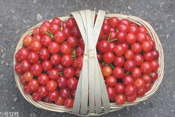 吃櫻桃會胖嗎 不要把櫻桃當減肥利器 吃櫻桃會胖嗎 不要把櫻桃當減肥利器