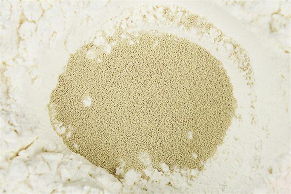 酵母粉和泡打粉的區(qū)別 有這些不同點(diǎn)