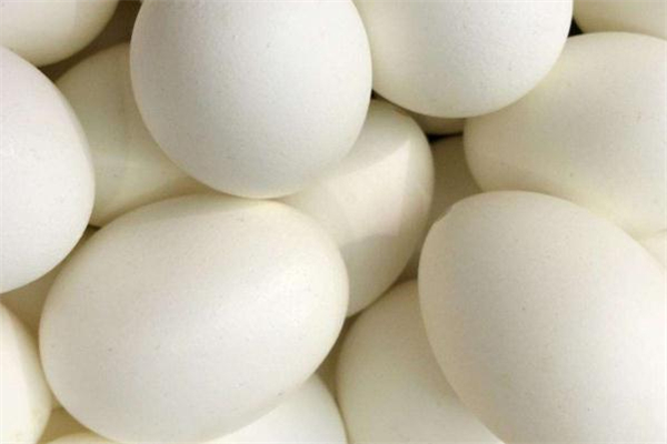 鵝蛋可以天天吃嗎 不過量即可 鵝蛋可以天天吃嗎 不過量即可