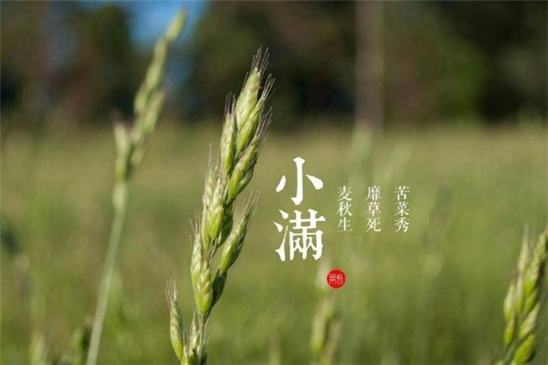 小滿可以搬家嗎 2019年小滿搬家好嗎 小滿可以搬家嗎 2019年小滿搬家好嗎