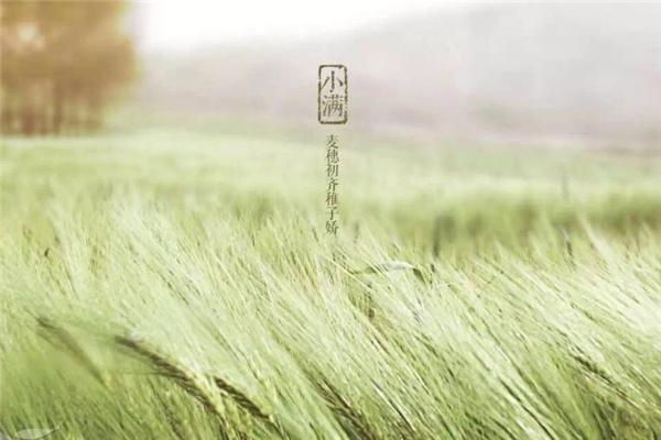 小滿有什么民俗活動 小滿節(jié)氣的民俗 小滿有什么民俗活動 小滿節(jié)氣的民俗