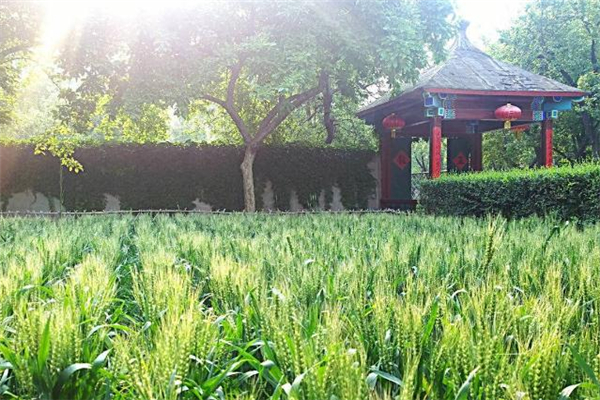 小滿有什么民俗活動 小滿節(jié)氣的民俗 小滿有什么民俗活動 小滿節(jié)氣的民俗