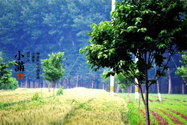 小滿節(jié)氣怎么發(fā)朋友圈 2019小滿祝福語(yǔ)大全