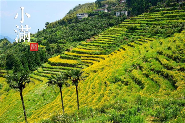 小滿之后為什么沒有大滿 原來是這樣 小滿之后為什么沒有大滿 原來是這樣