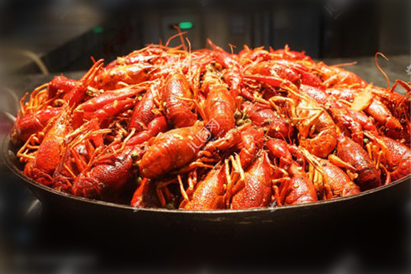 龍蝦能不能吃 龍蝦可以吃嗎 龍蝦能不能吃 龍蝦可以吃嗎