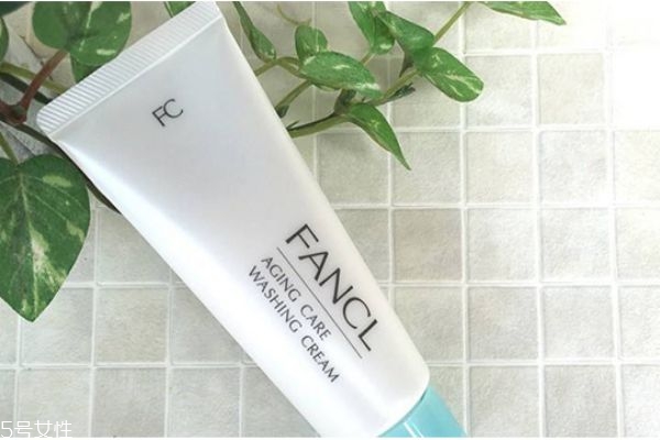 潔面乳怎么用 正確使用潔面乳的方法 潔面乳怎么用 正確使用潔面乳的方法