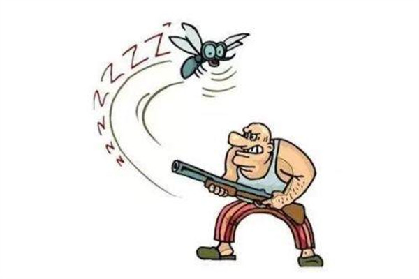 蚊子怎么來的 消滅蚊子的方法 蚊子怎么來的 消滅蚊子的方法