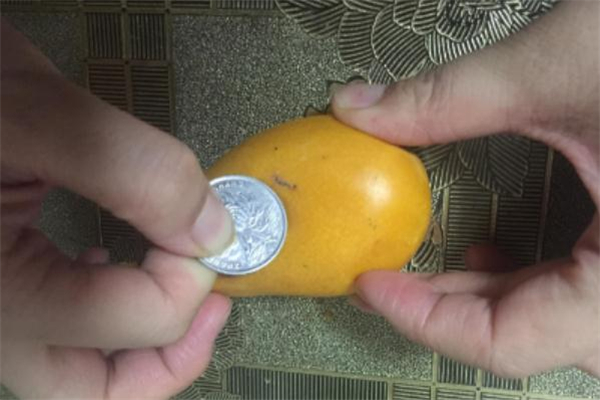 怎么用硬幣剝芒果 剝芒果小技巧 怎么用硬幣剝芒果 剝芒果小技巧