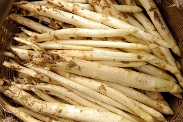 白蘆筍可以包餃子嗎 白蘆筍包餃子的做法