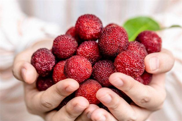 楊梅放久了會(huì)變甜嗎 楊梅不甜怎么辦 楊梅放久了會(huì)變甜嗎 楊梅不甜怎么辦