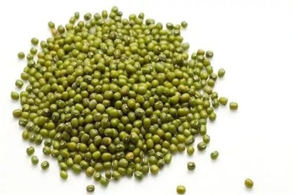 綠豆可以美白嗎 綠豆怎么吃美白 綠豆可以美白嗎 綠豆怎么吃美白