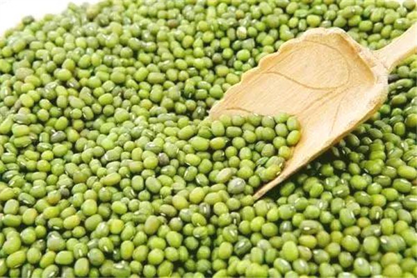 綠豆長(zhǎng)蟲(chóng)了怎么處理 這樣處理比較好 綠豆長(zhǎng)蟲(chóng)了怎么處理 這樣處理比較好