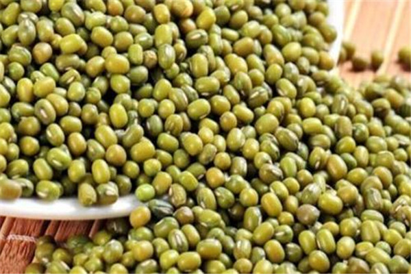 綠豆發(fā)芽還能吃嗎 綠豆為什么會(huì)發(fā)芽 綠豆發(fā)芽還能吃嗎 綠豆為什么會(huì)發(fā)芽