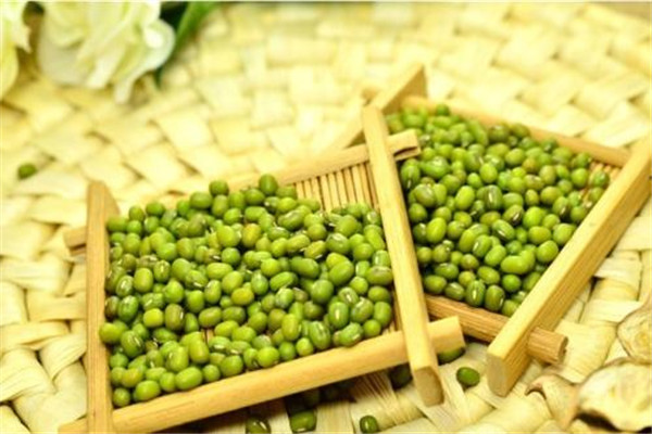 綠豆發(fā)芽還能吃嗎 綠豆為什么會(huì)發(fā)芽 綠豆發(fā)芽還能吃嗎 綠豆為什么會(huì)發(fā)芽