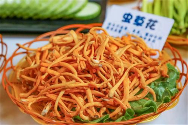 蟲(chóng)草花能和胡蘿卜一起煮嗎 蟲(chóng)草花可以怎么吃