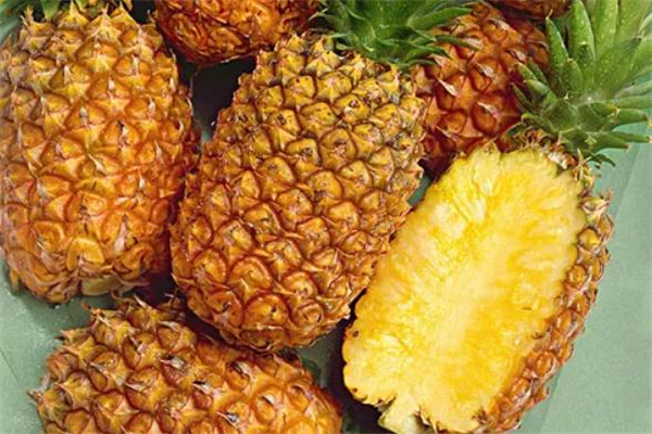 鳳梨什么季節(jié)最好吃 鳳梨什么時候吃最好 鳳梨什么季節(jié)最好吃 鳳梨什么時候吃最好