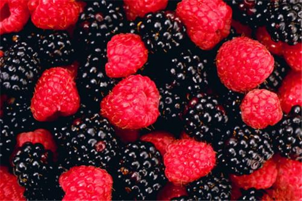 桑葚吃多有什么壞處 桑葚可以多吃嗎 桑葚吃多有什么壞處 桑葚可以多吃嗎