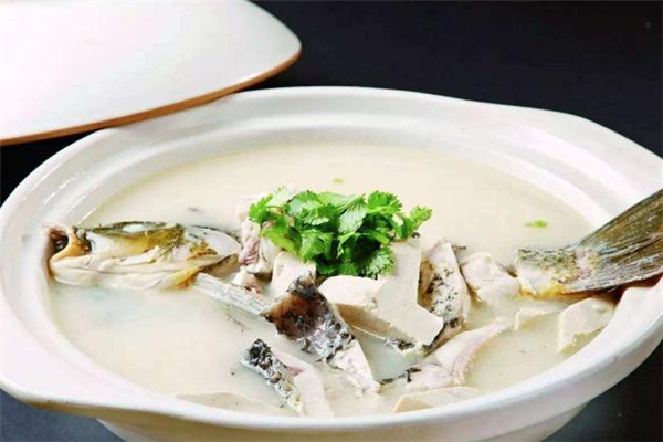 什么人不能喝鯽魚湯 鯽魚湯禁忌人群 什么人不能喝鯽魚湯 鯽魚湯禁忌人群