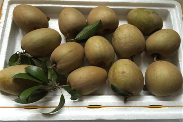 人心果怎么吃 人心果好吃嗎 人心果怎么吃 人心果好吃嗎